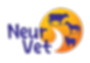 12.png